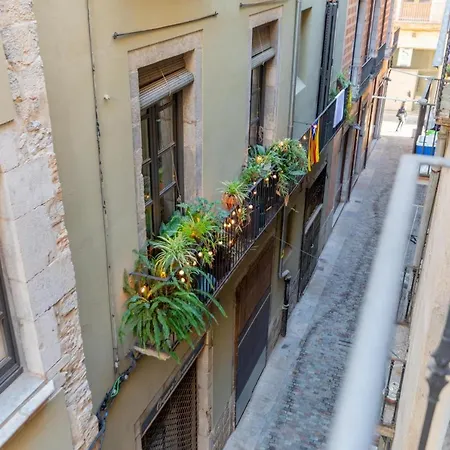 Flateli Cort Reial 10
